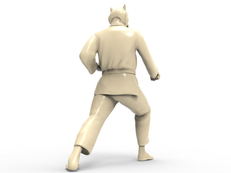 Tiger Zenkutsu Dachi Stance 3D print model_3