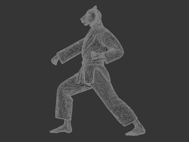 Tiger Zenkutsu Dachi Stance 3D print model_8