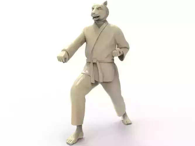 Tiger Zenkutsu Dachi Stance