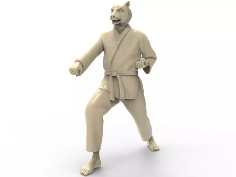Tiger Zenkutsu Dachi Stance 3D print model_0