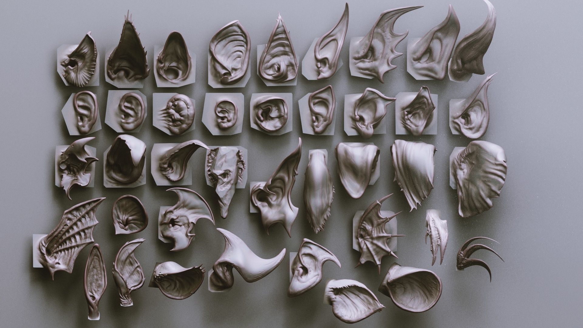 EARS - 40 ZBRUSH VDMs 3D model_2