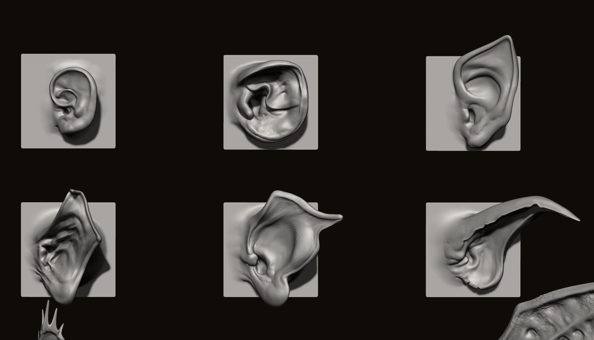 EARS - 40 ZBRUSH VDMs 3D model_13