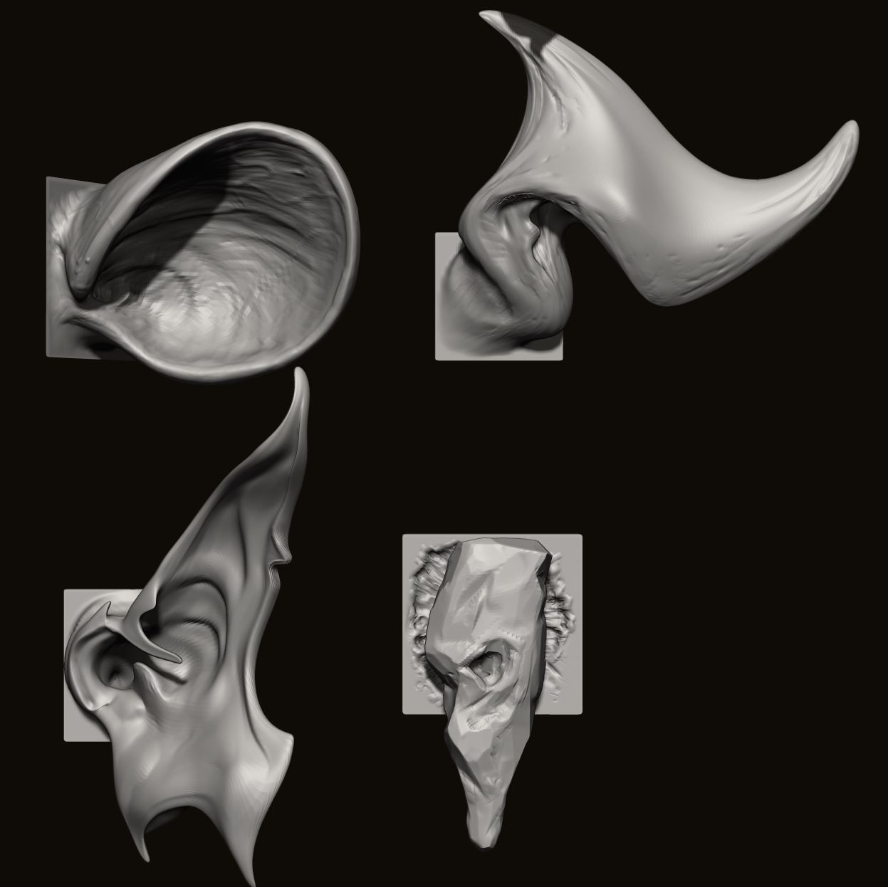 EARS - 40 ZBRUSH VDMs 3D model_11