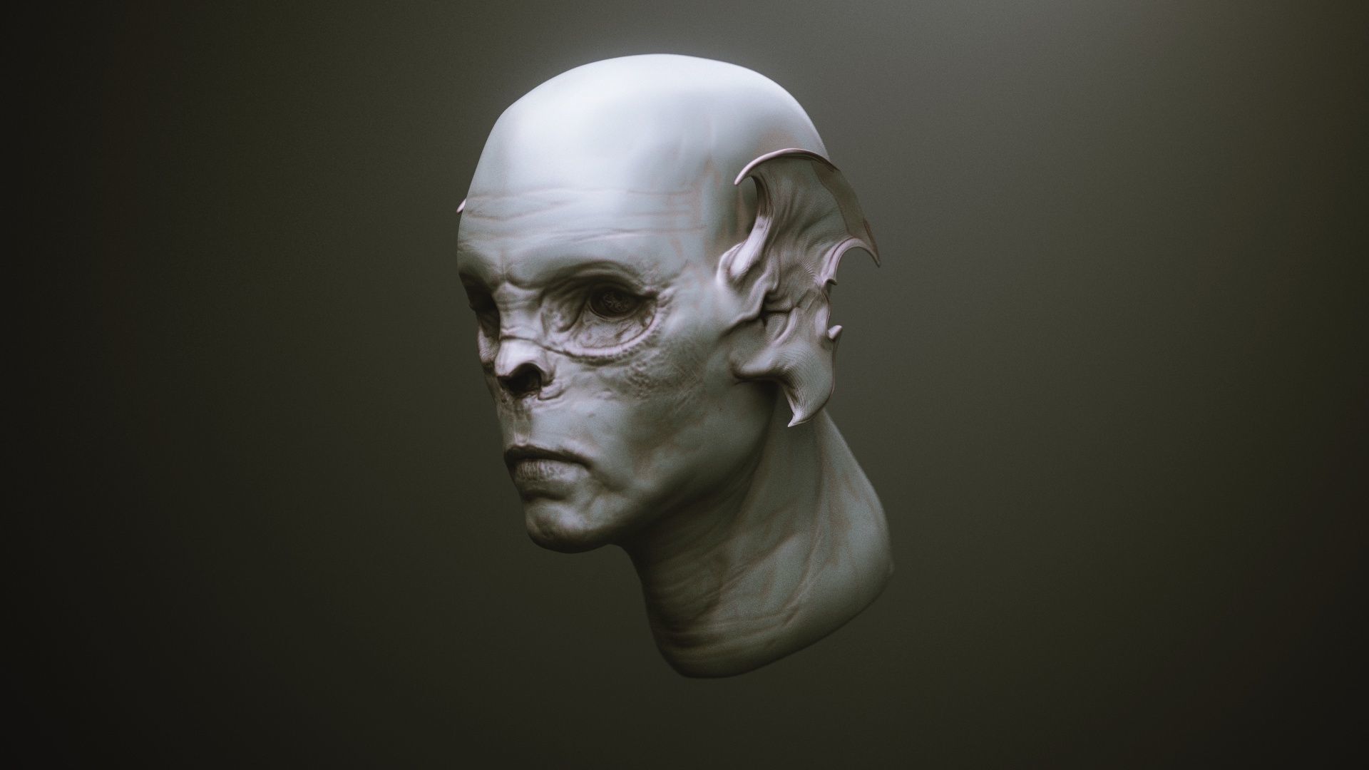 EARS - 40 ZBRUSH VDMs 3D model_4
