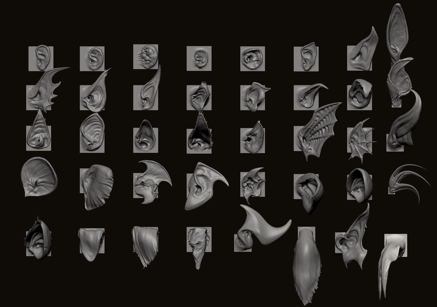 EARS - 40 ZBRUSH VDMs 3D model_6