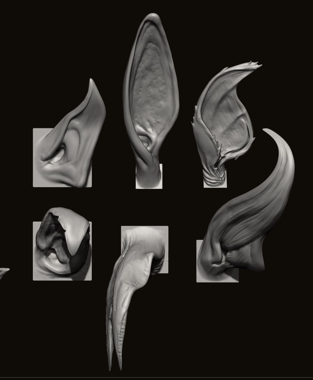 EARS - 40 ZBRUSH VDMs 3D model_8