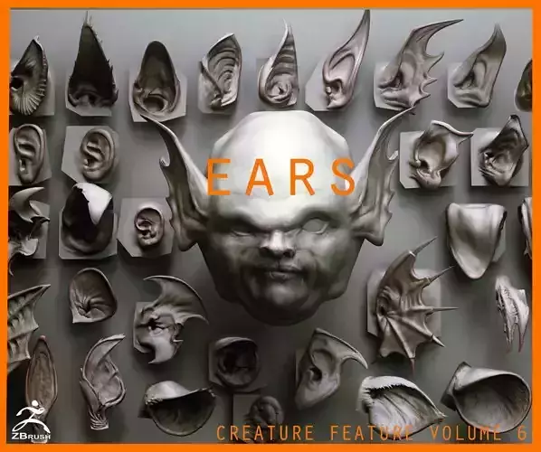 EARS - 40 ZBRUSH VDMs 3D model