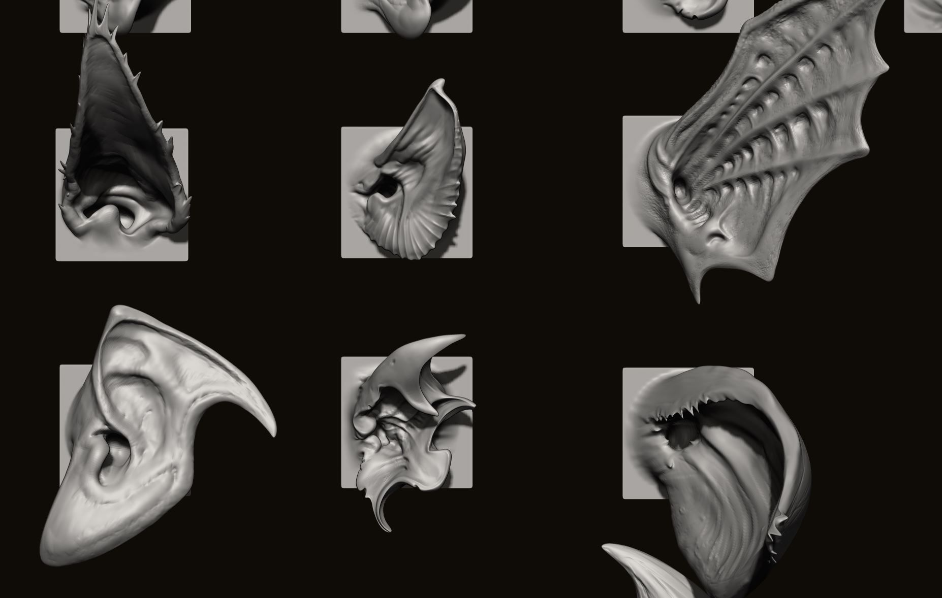 EARS - 40 ZBRUSH VDMs 3D model_10