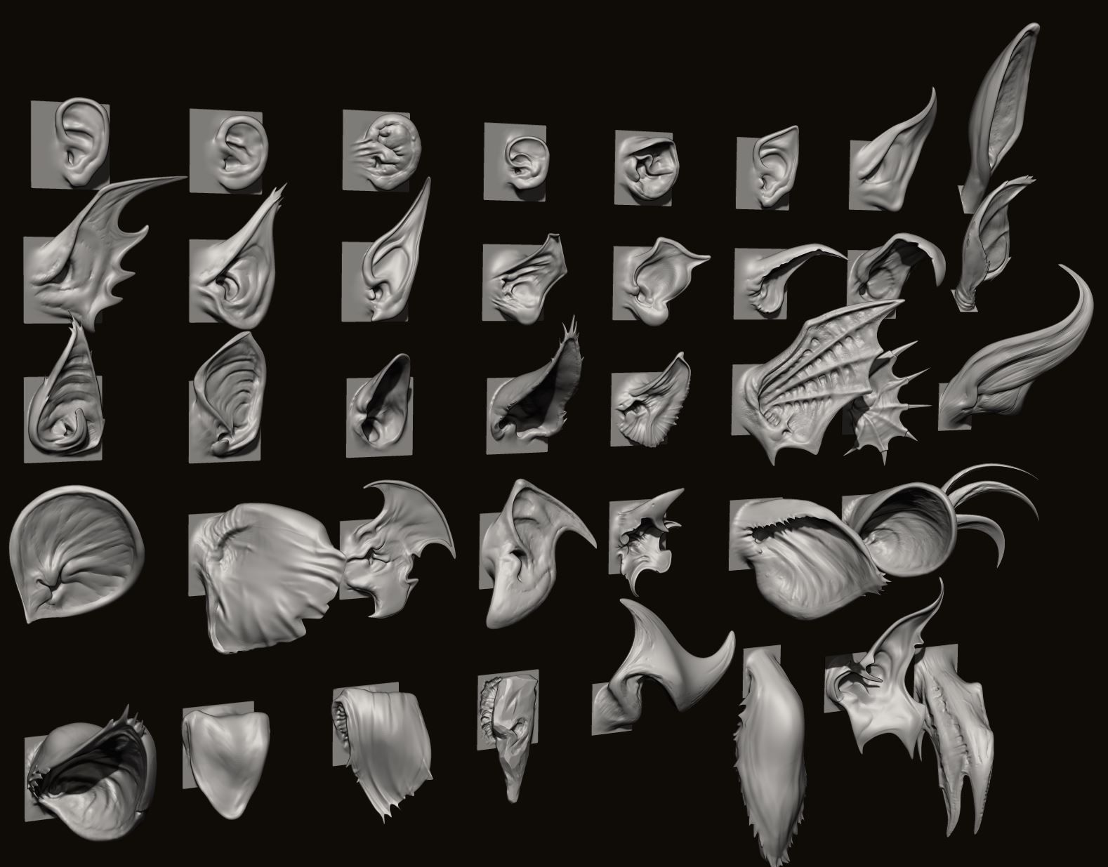 EARS - 40 ZBRUSH VDMs 3D model_7