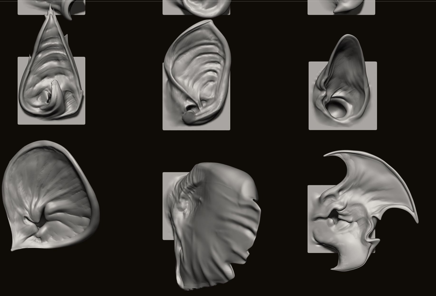 EARS - 40 ZBRUSH VDMs 3D model_14