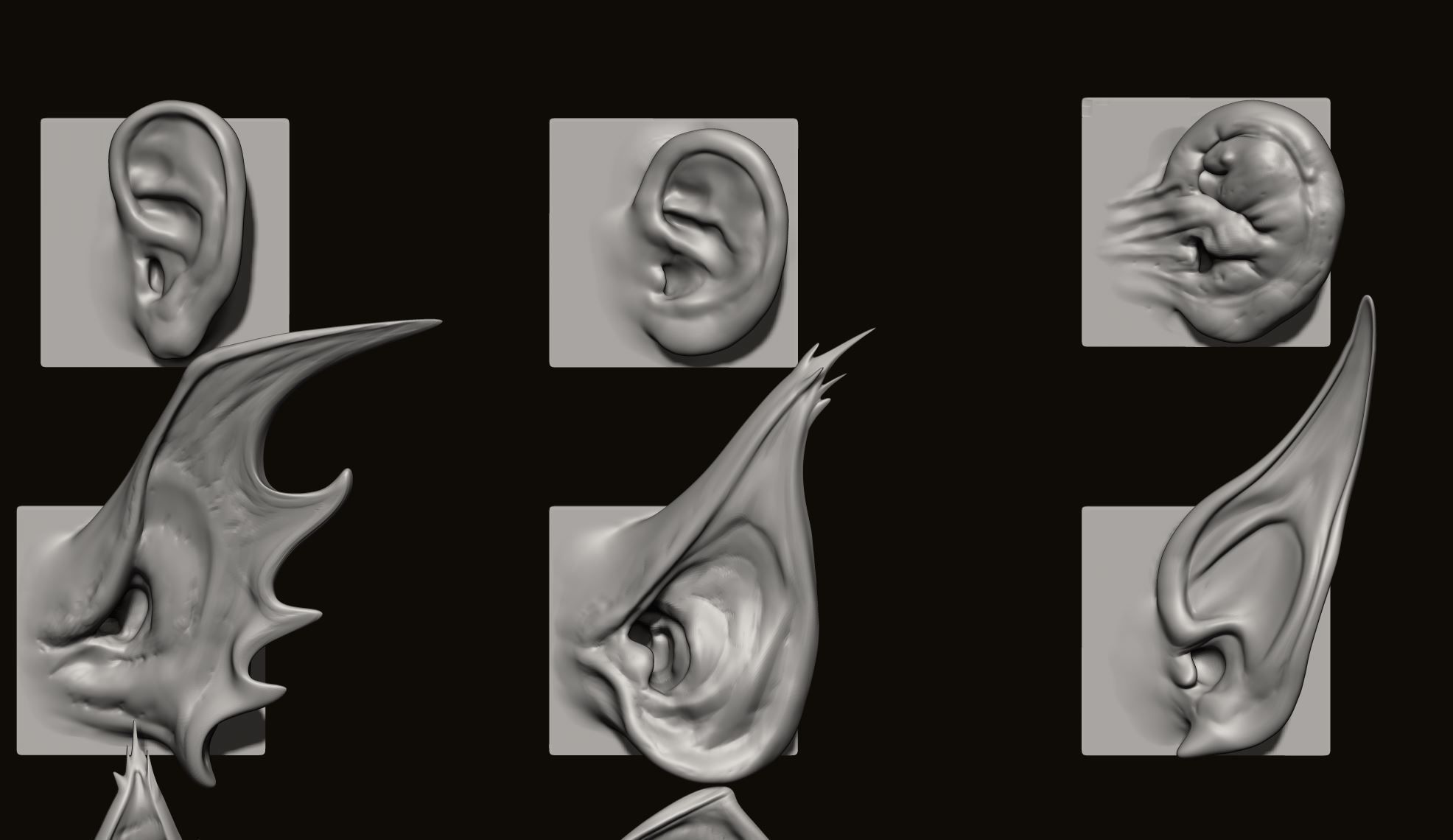 EARS - 40 ZBRUSH VDMs 3D model_9