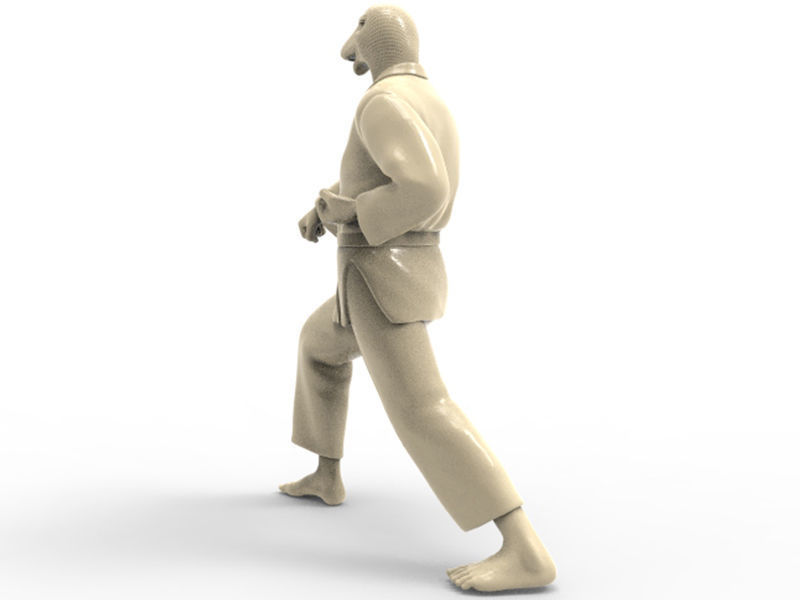 Snake Zenkutsu Dachi Stance 3D print model_2