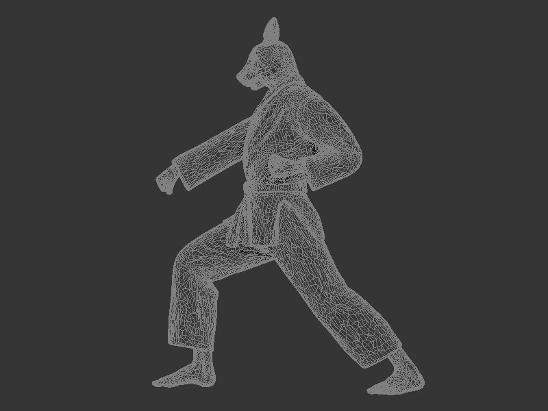 Rabbit Zenkutsu Dachi Stance 3D print model_8