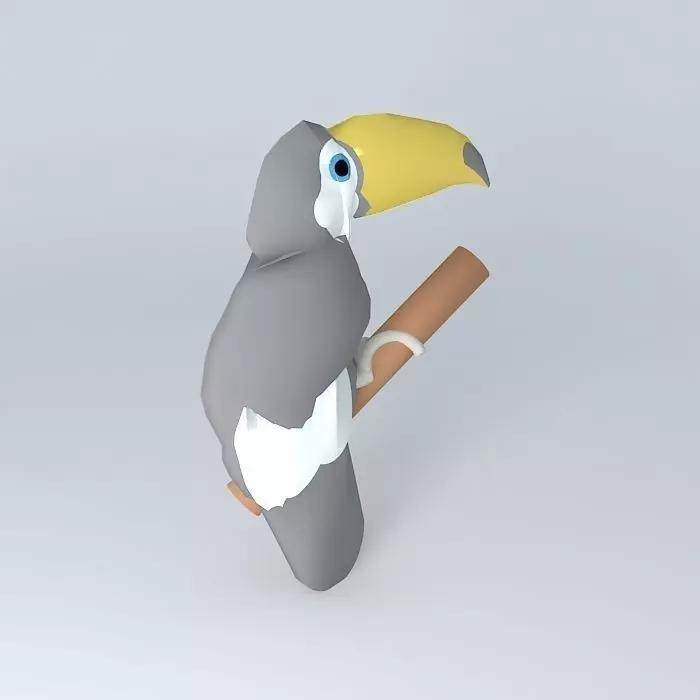 Toucan (Ramphastos toco Free 3D model