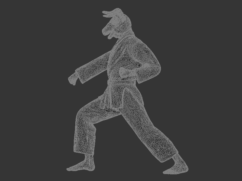 Ox Zenkutsu Dachi Stance 3D print model_8