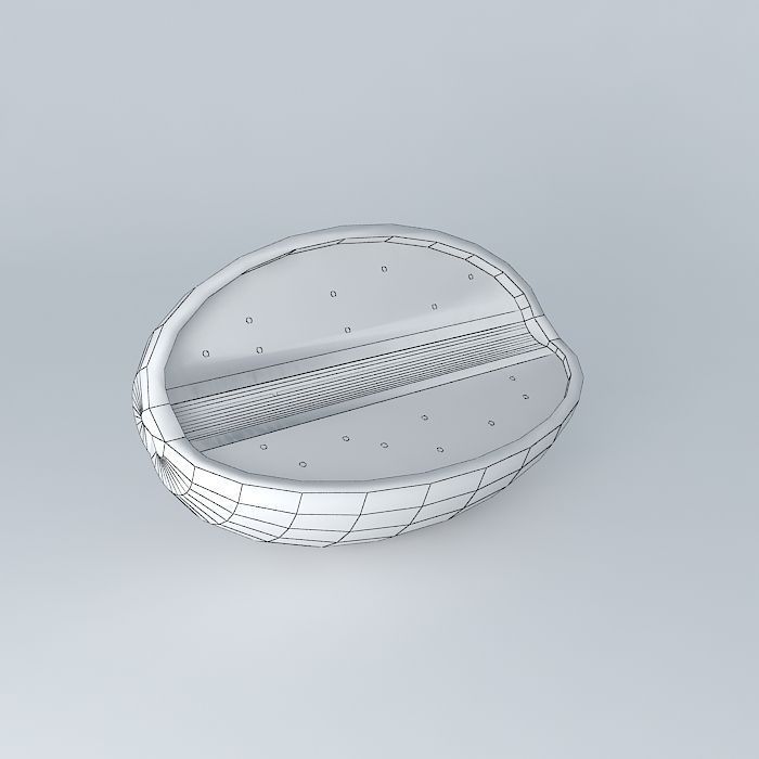 orange fruit Free 3D model_3