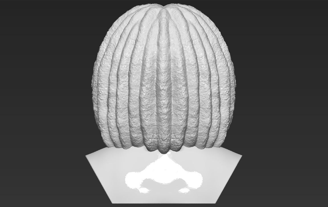 Bob Marley bust 3D printing ready stl obj formats 3D print model_6