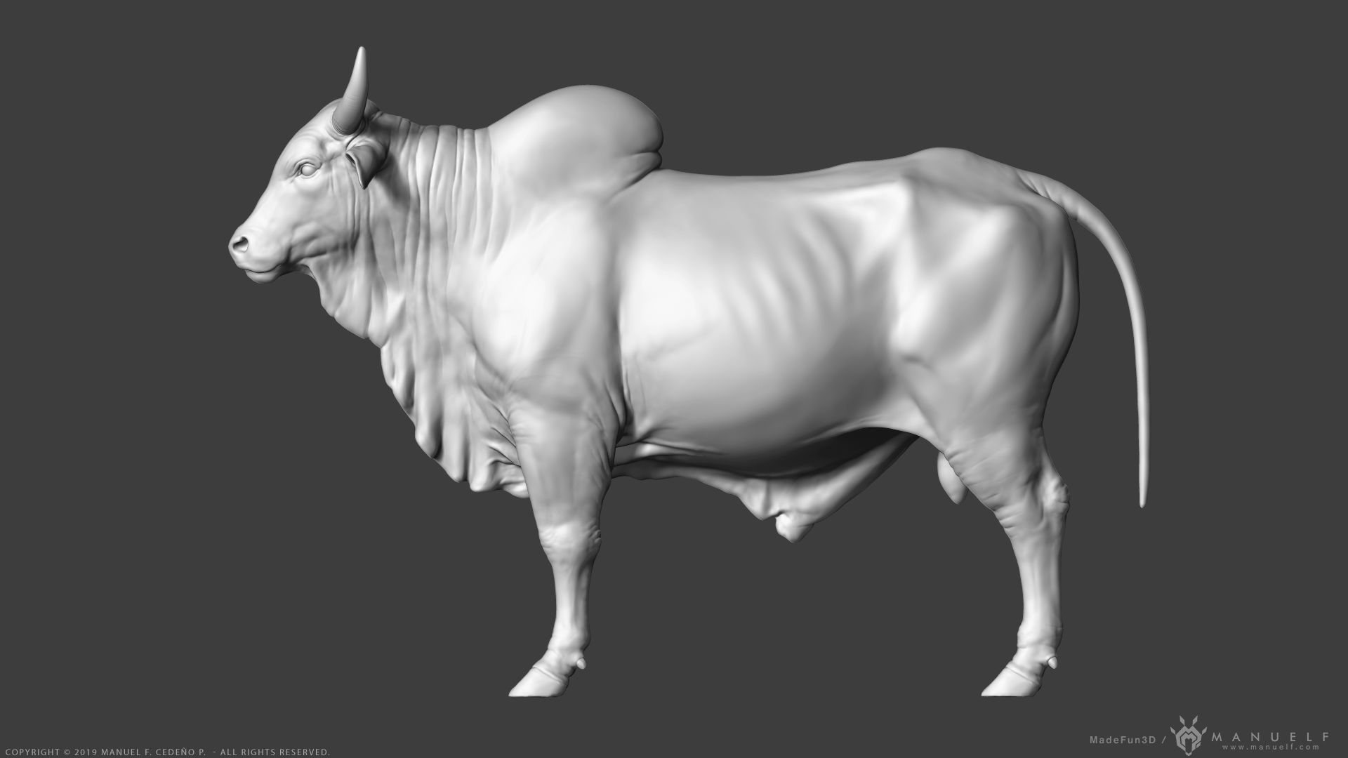 Zebu Bull - Highpoly Sculpture 3D model_5