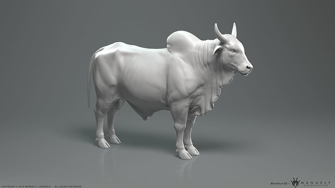Zebu Bull - Highpoly Sculpture 3D model