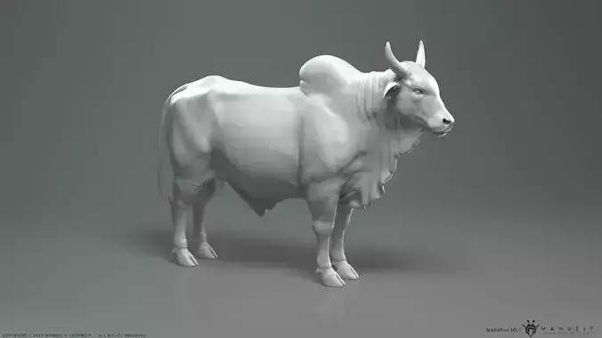 Zebu Bull - Highpoly Sculpture 3D model
