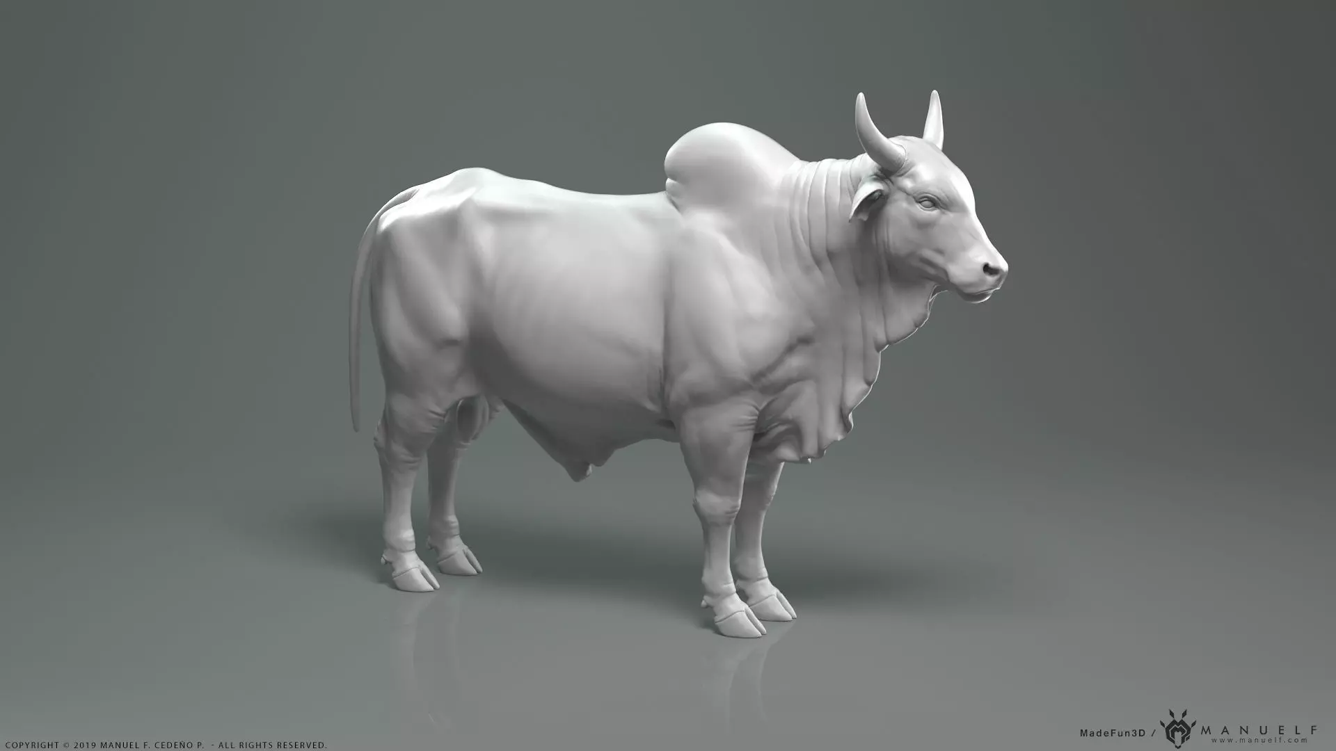 Zebu Bull - Highpoly Sculpture 3D model_0
