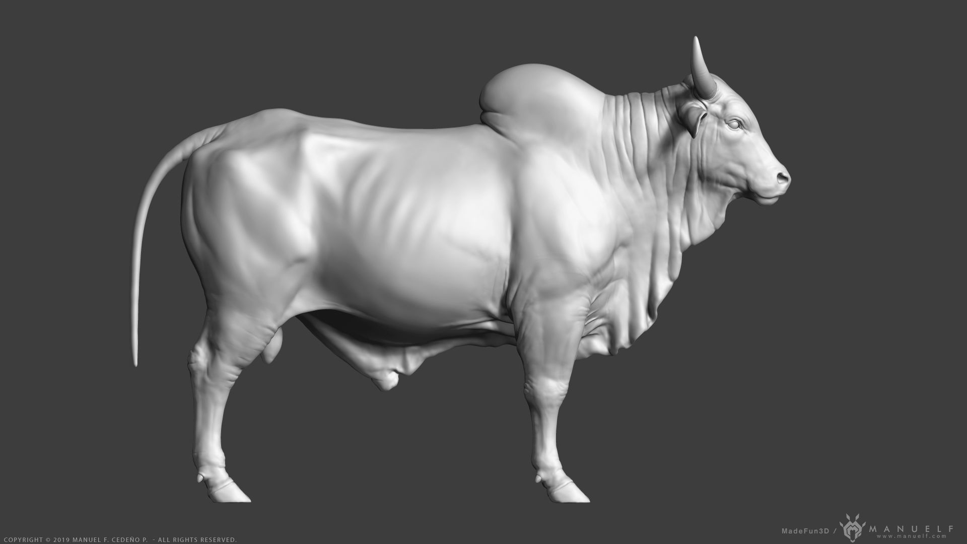 Zebu Bull - Highpoly Sculpture 3D model_3