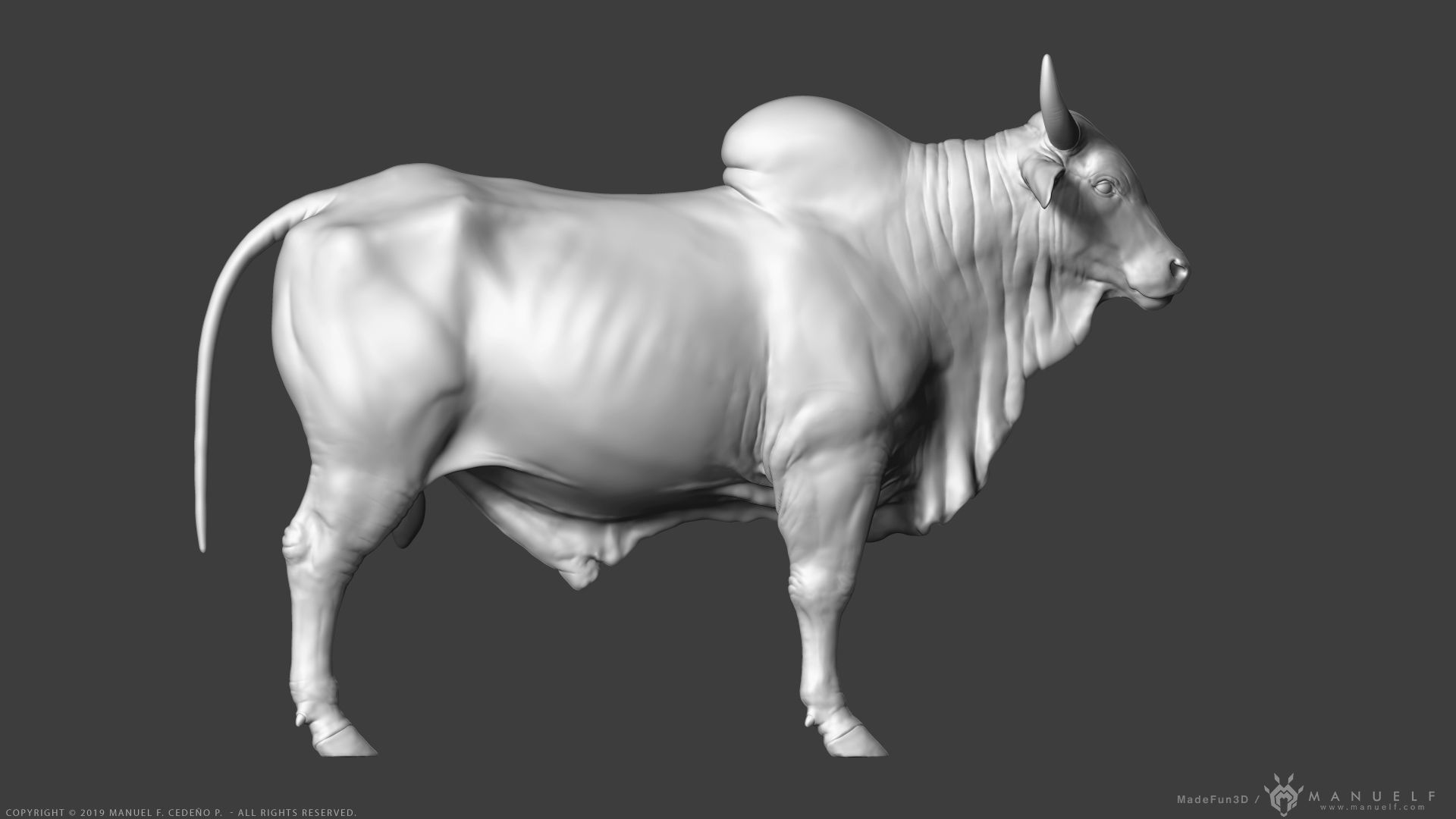 Zebu Bull - Highpoly Sculpture 3D model_2