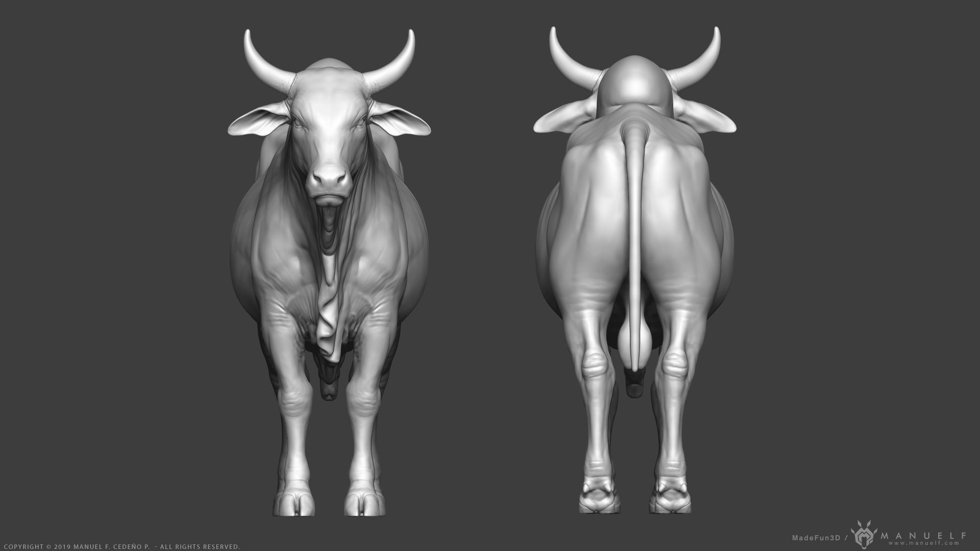 Zebu Bull - Highpoly Sculpture 3D model_9