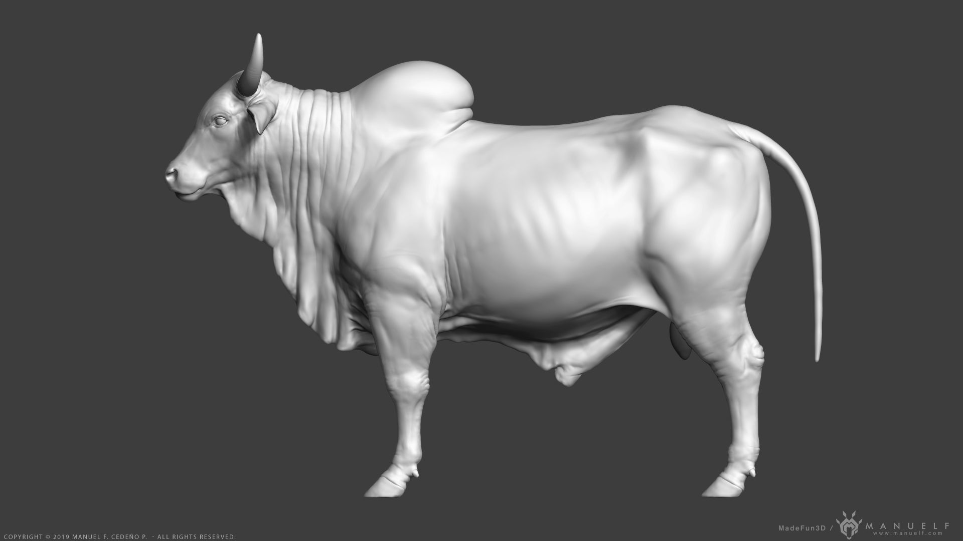 Zebu Bull - Highpoly Sculpture 3D model_4
