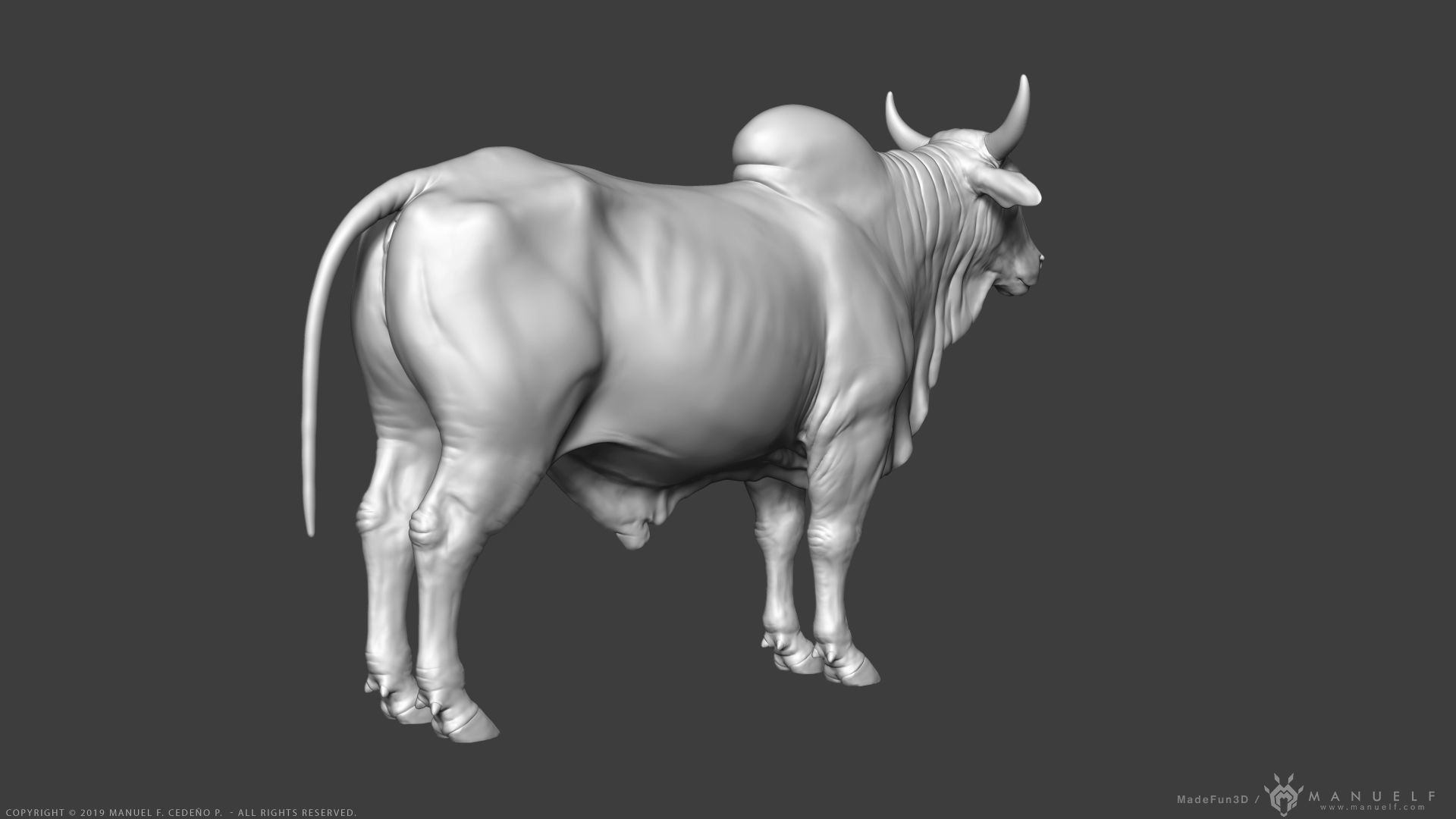 Zebu Bull - Highpoly Sculpture 3D model_7