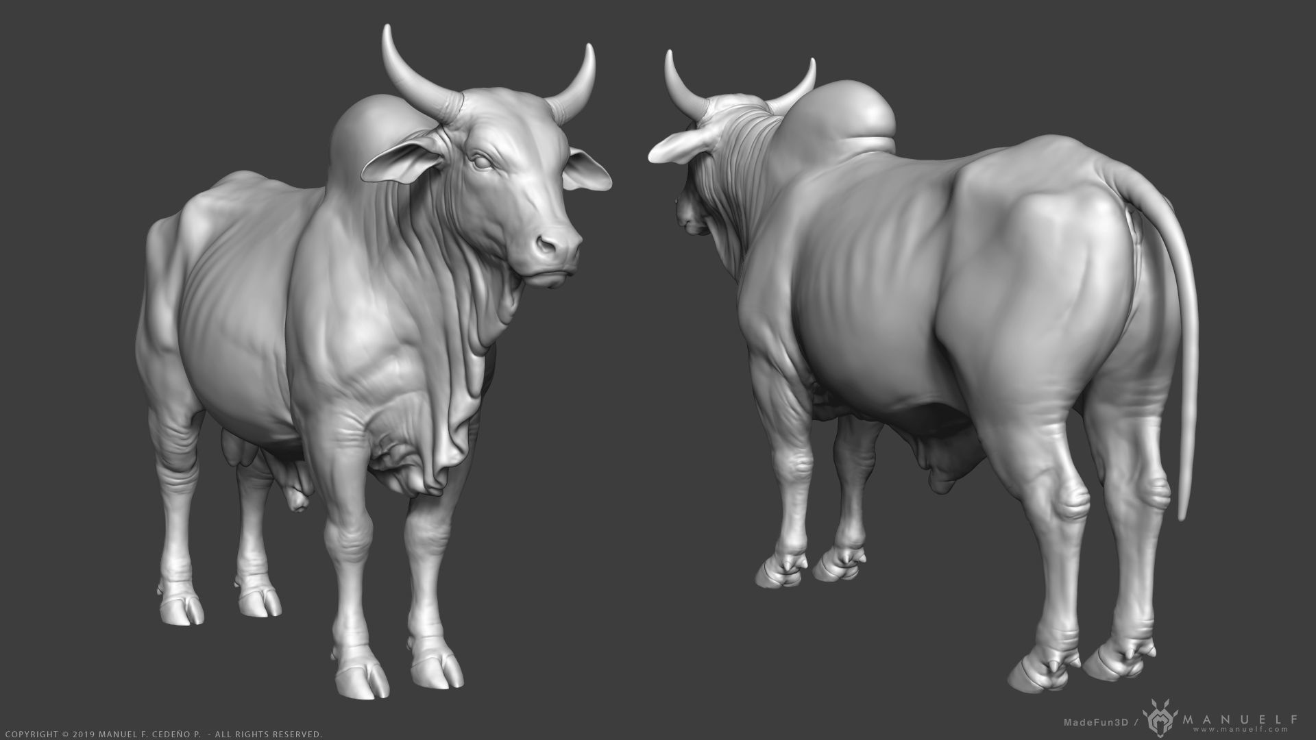 Zebu Bull - Highpoly Sculpture 3D model_8