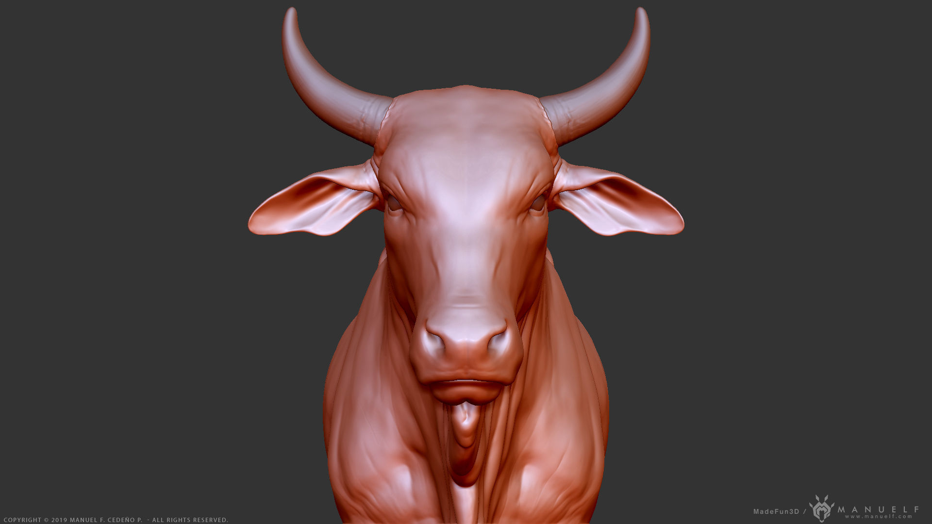Zebu Bull - Highpoly Sculpture 3D model_15