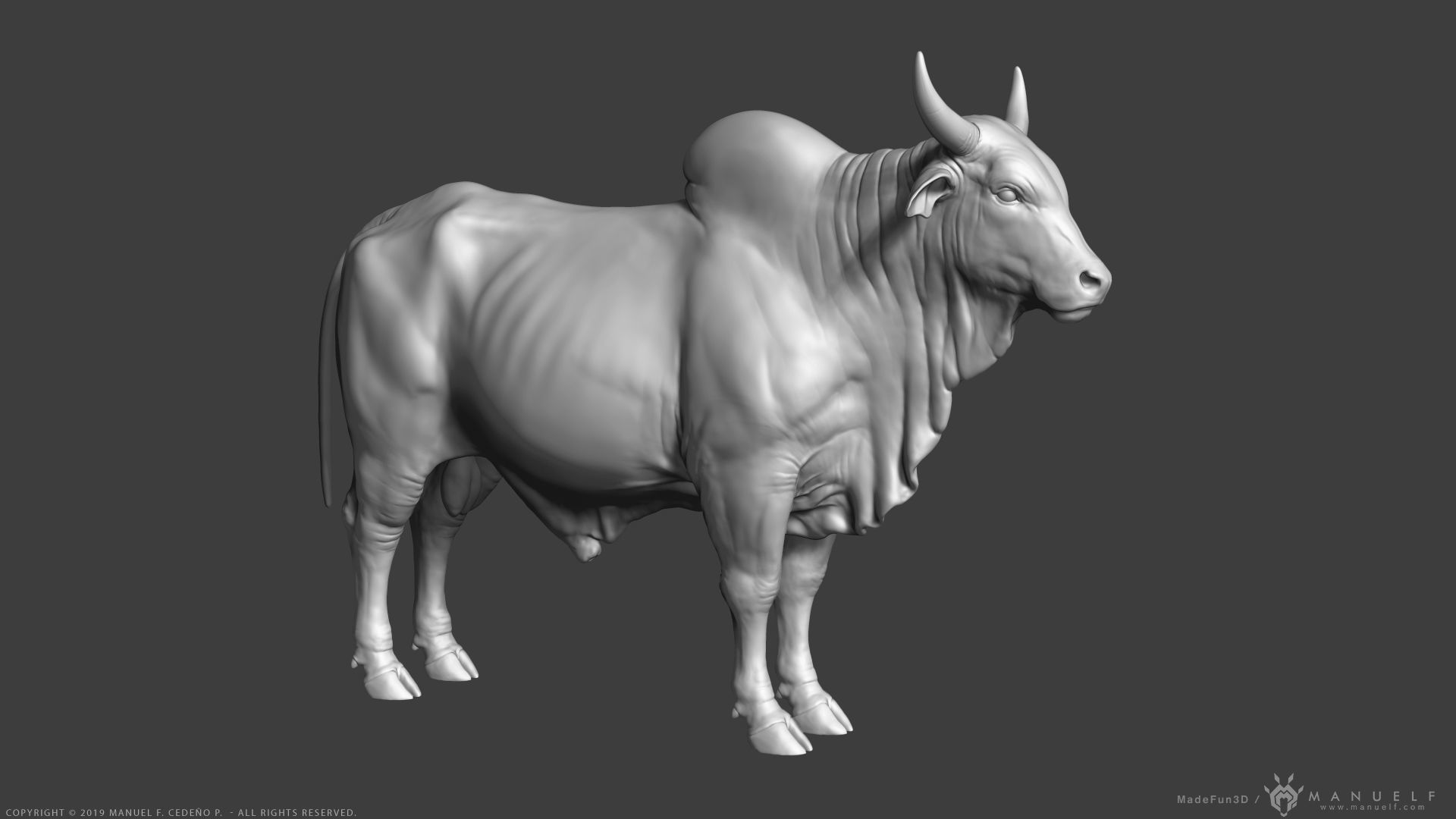 Zebu Bull - Highpoly Sculpture 3D model_1