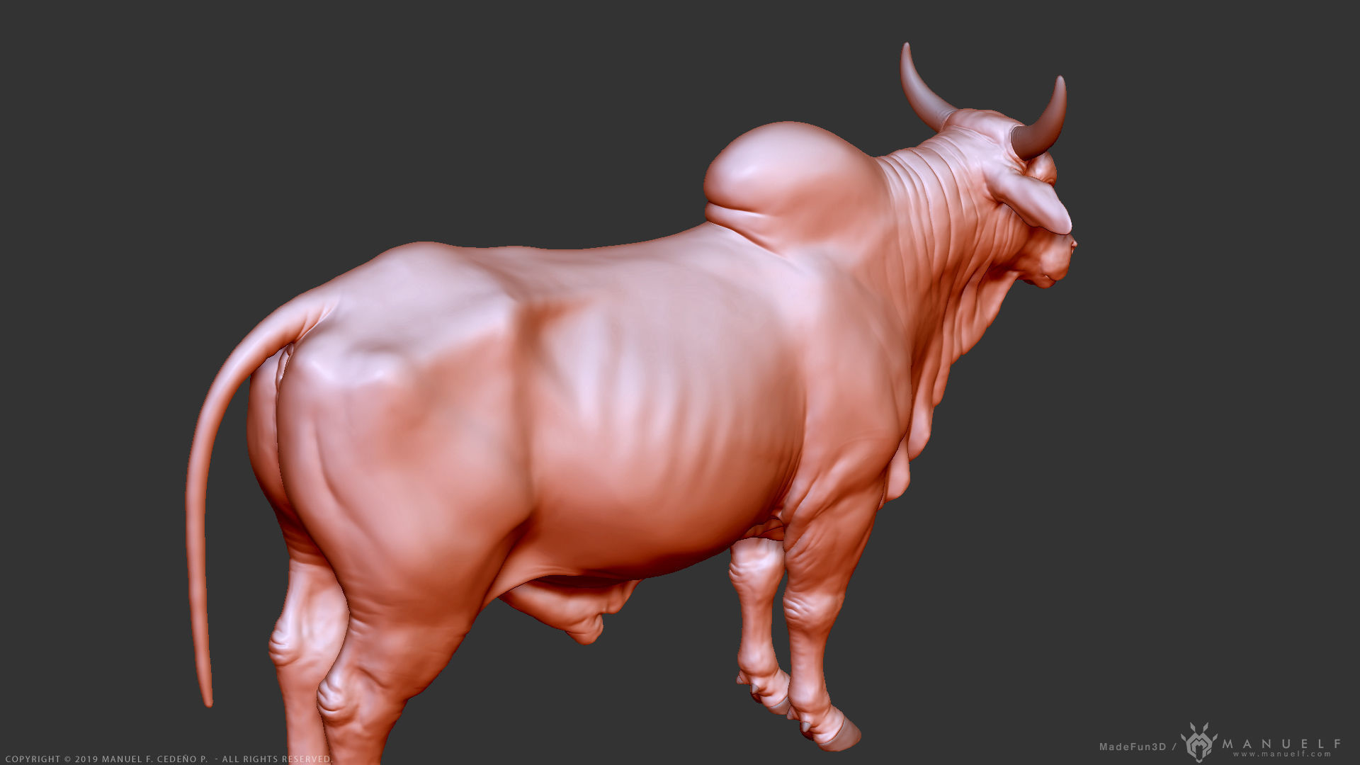 Zebu Bull - Highpoly Sculpture 3D model_16
