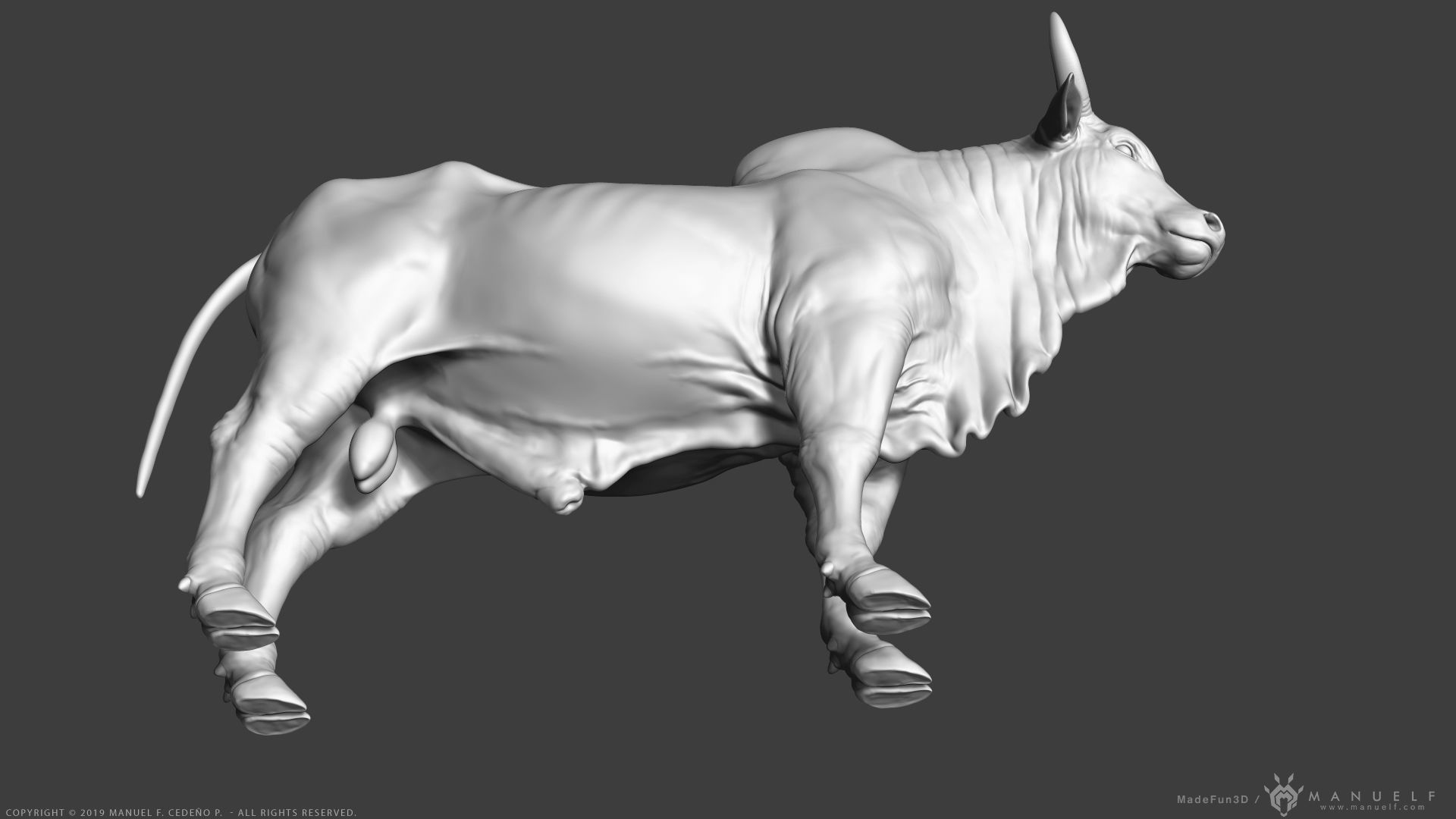 Zebu Bull - Highpoly Sculpture 3D model_11