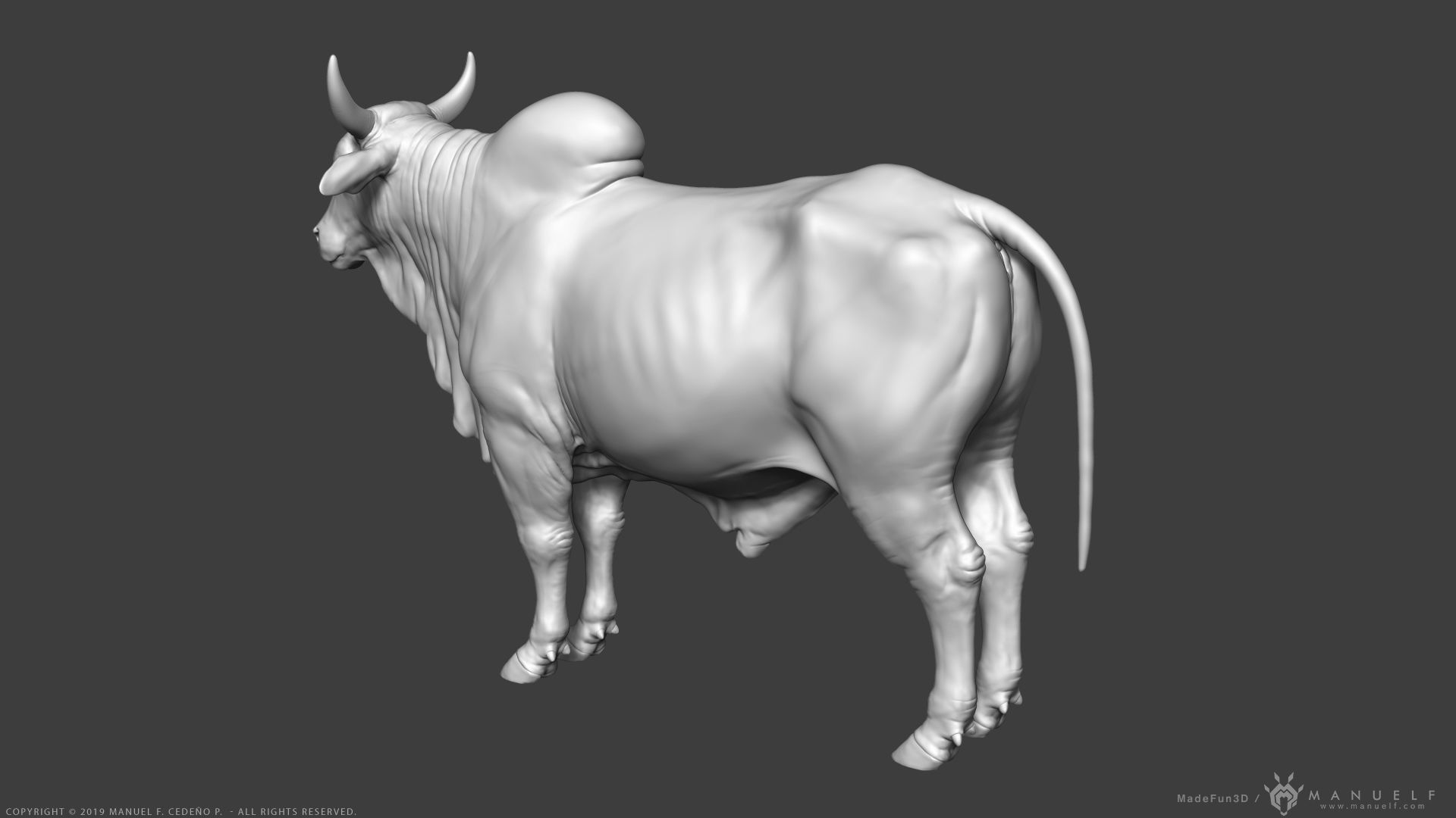 Zebu Bull - Highpoly Sculpture 3D model_6