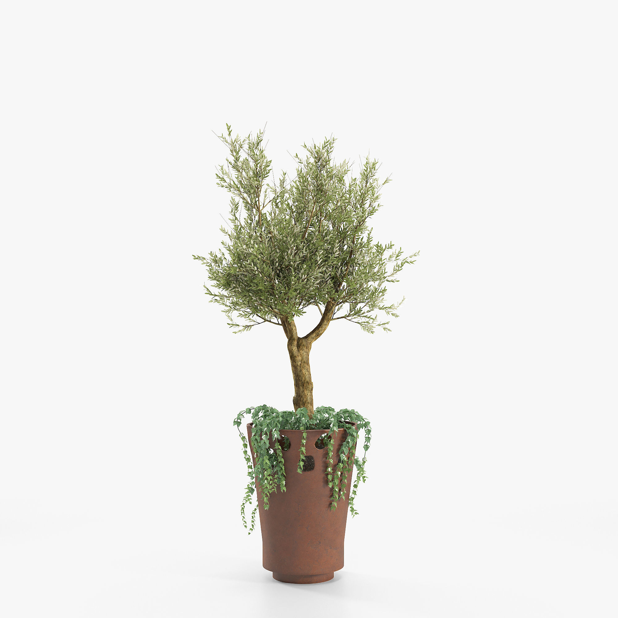 JARDINIERE GREEN PALACIO I  Olive Tree 3D model_5