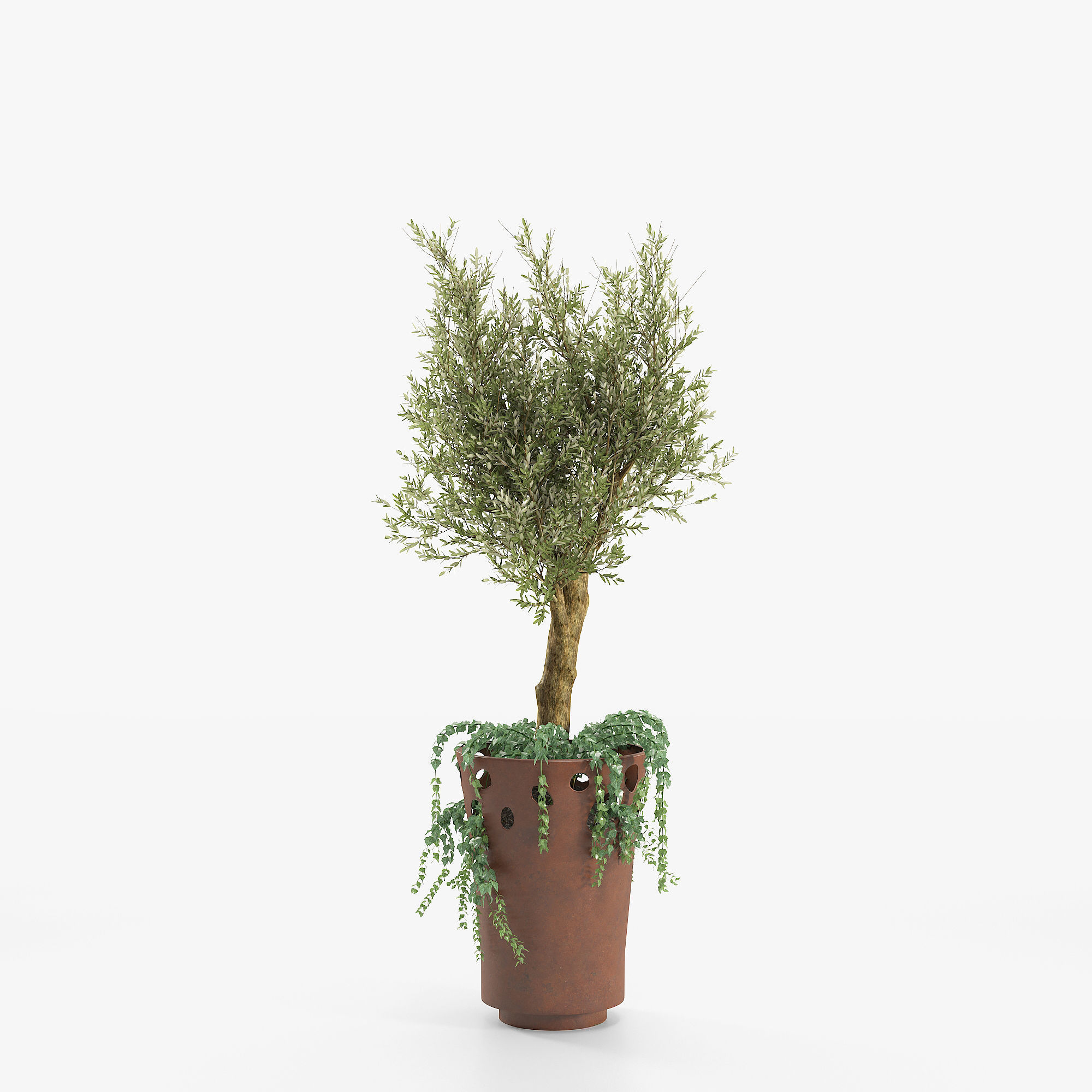 JARDINIERE GREEN PALACIO I  Olive Tree 3D model_4