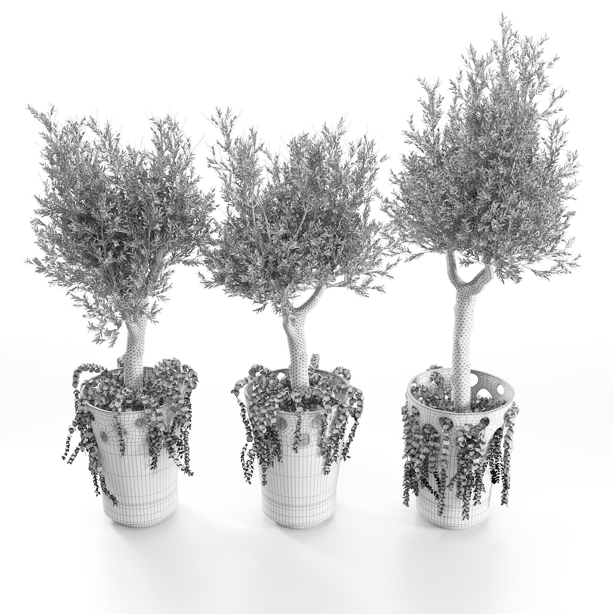 JARDINIERE GREEN PALACIO I  Olive Tree 3D model_6
