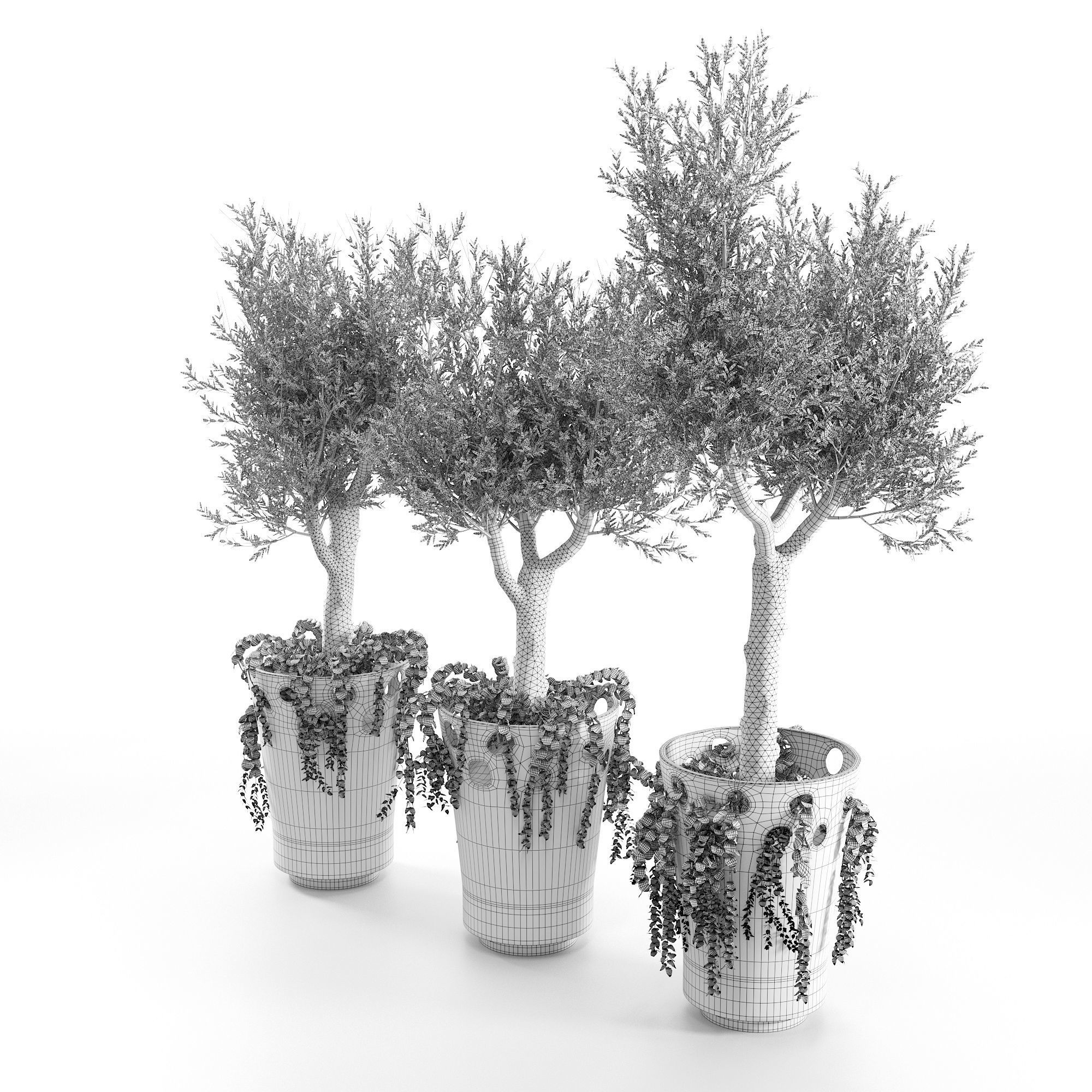 JARDINIERE GREEN PALACIO I  Olive Tree 3D model_7