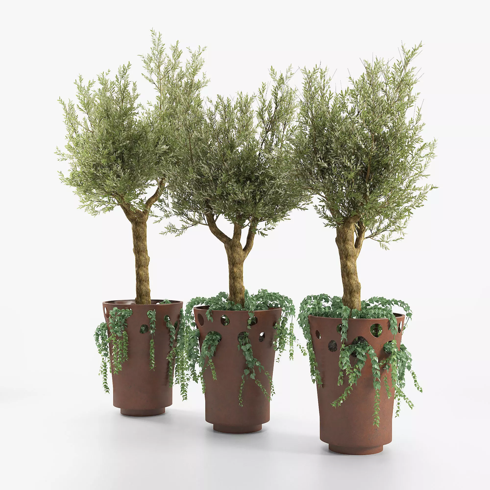 JARDINIERE GREEN PALACIO I  Olive Tree 3D model_0