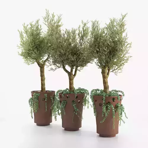 JARDINIERE GREEN PALACIO I  Olive Tree 3D model