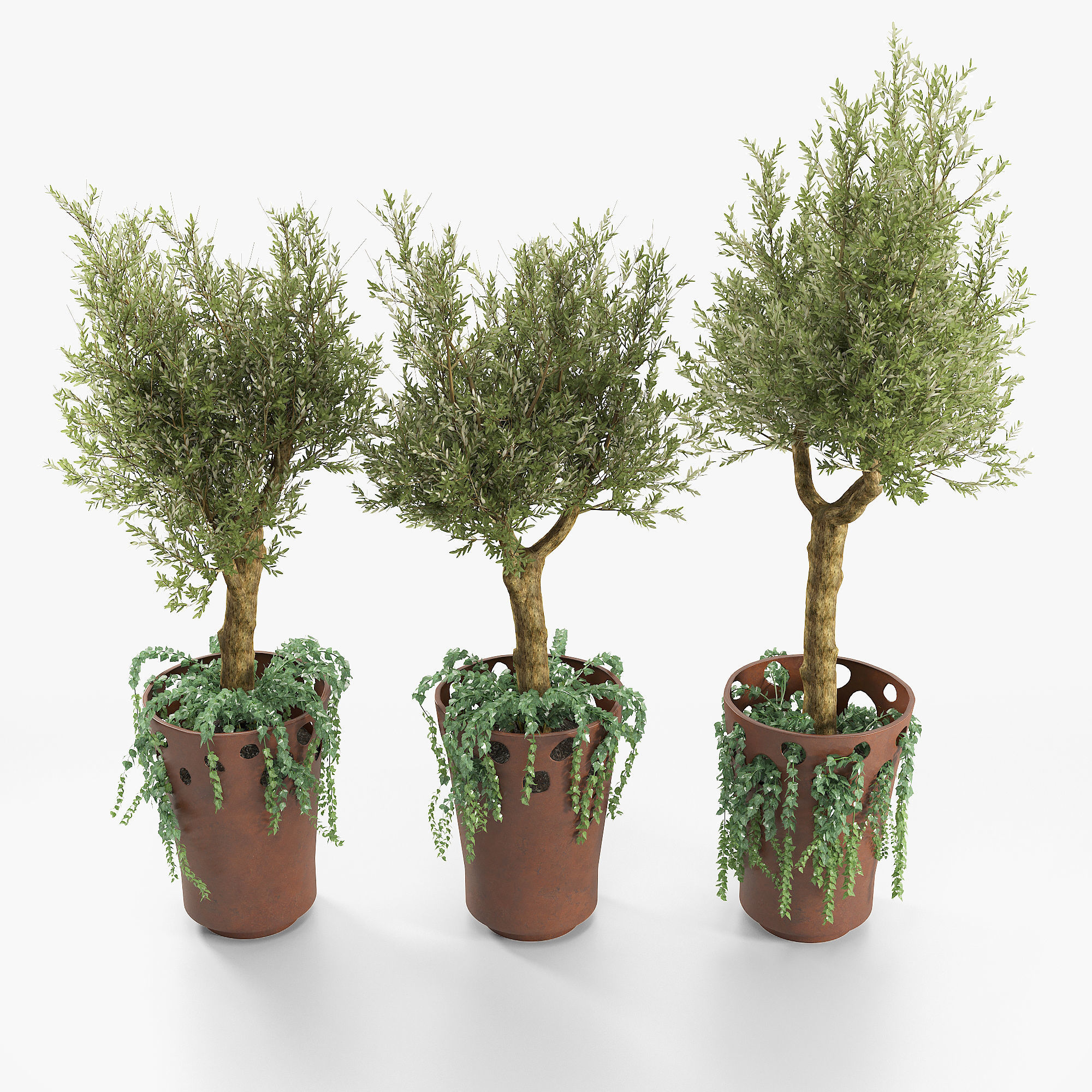 JARDINIERE GREEN PALACIO I  Olive Tree 3D model_1