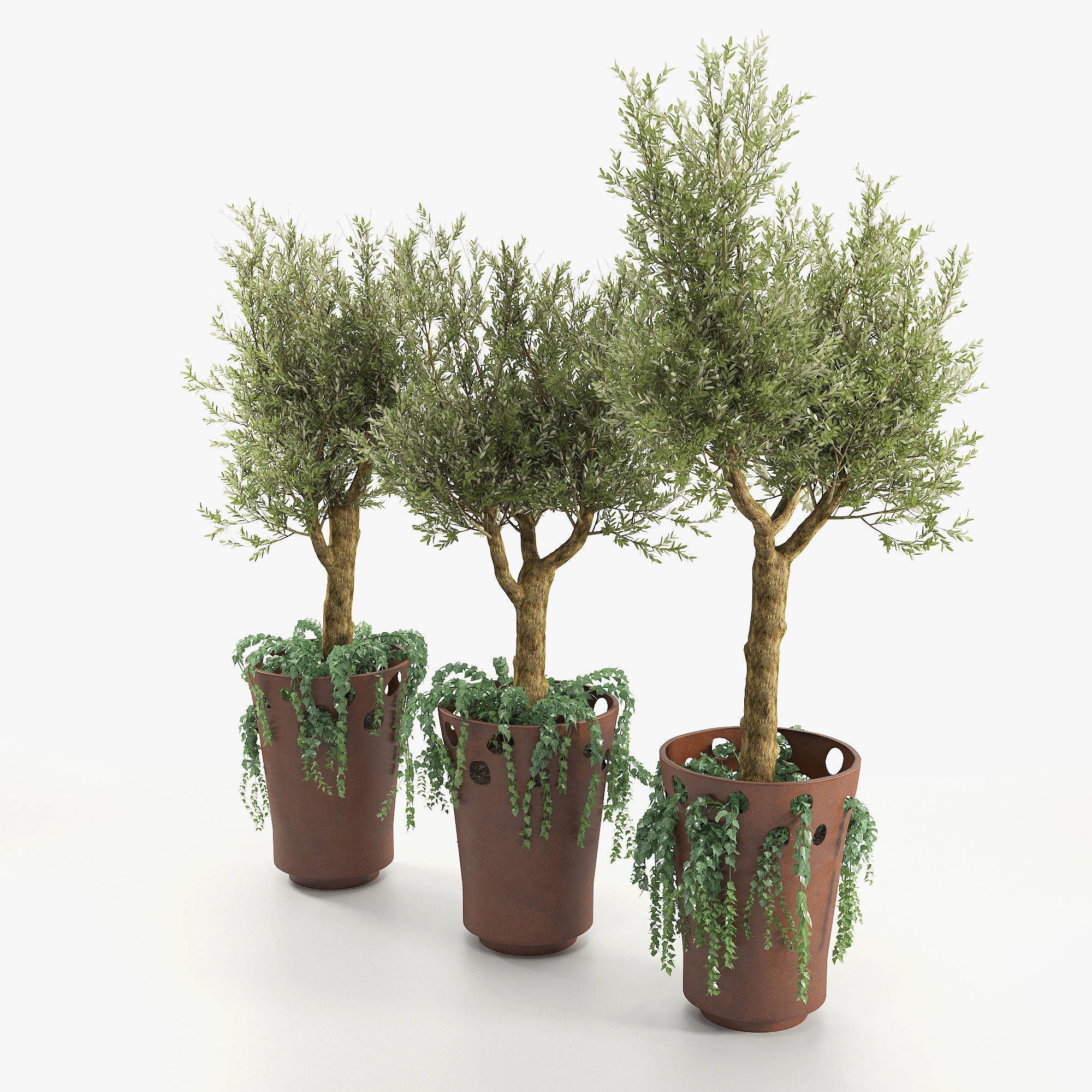 JARDINIERE GREEN PALACIO I  Olive Tree 3D model_2