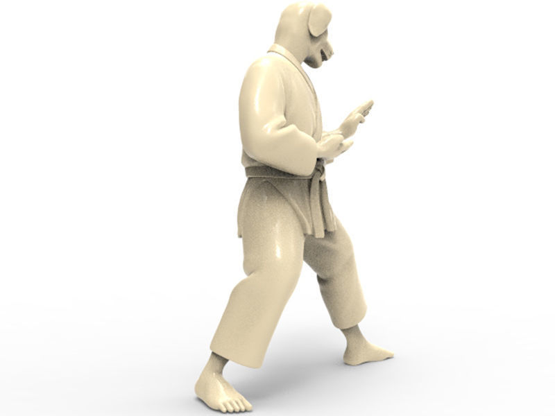 Dog Kokutsu Dachi Stance 3D print model_2