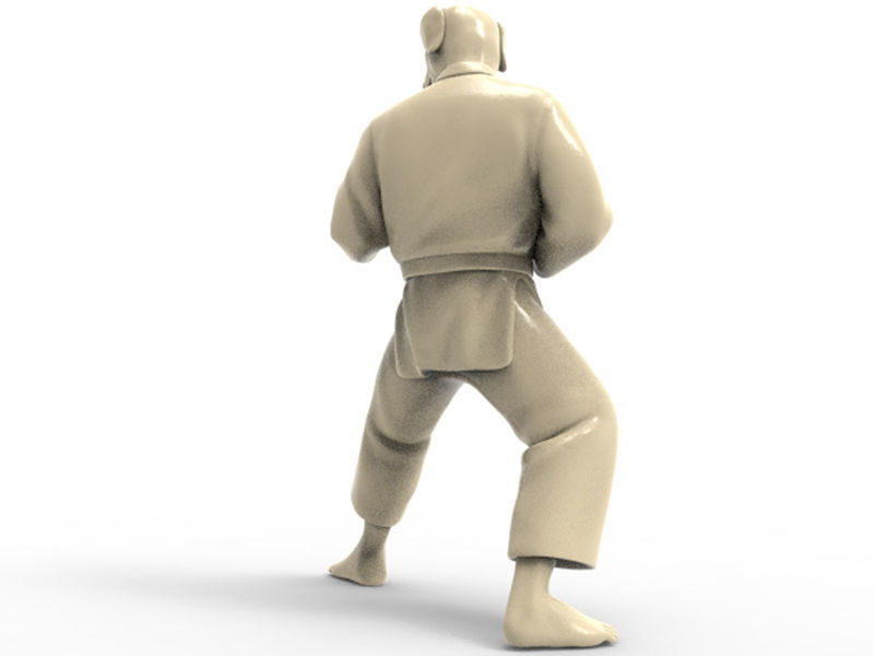 Dog Kokutsu Dachi Stance 3D print model_3