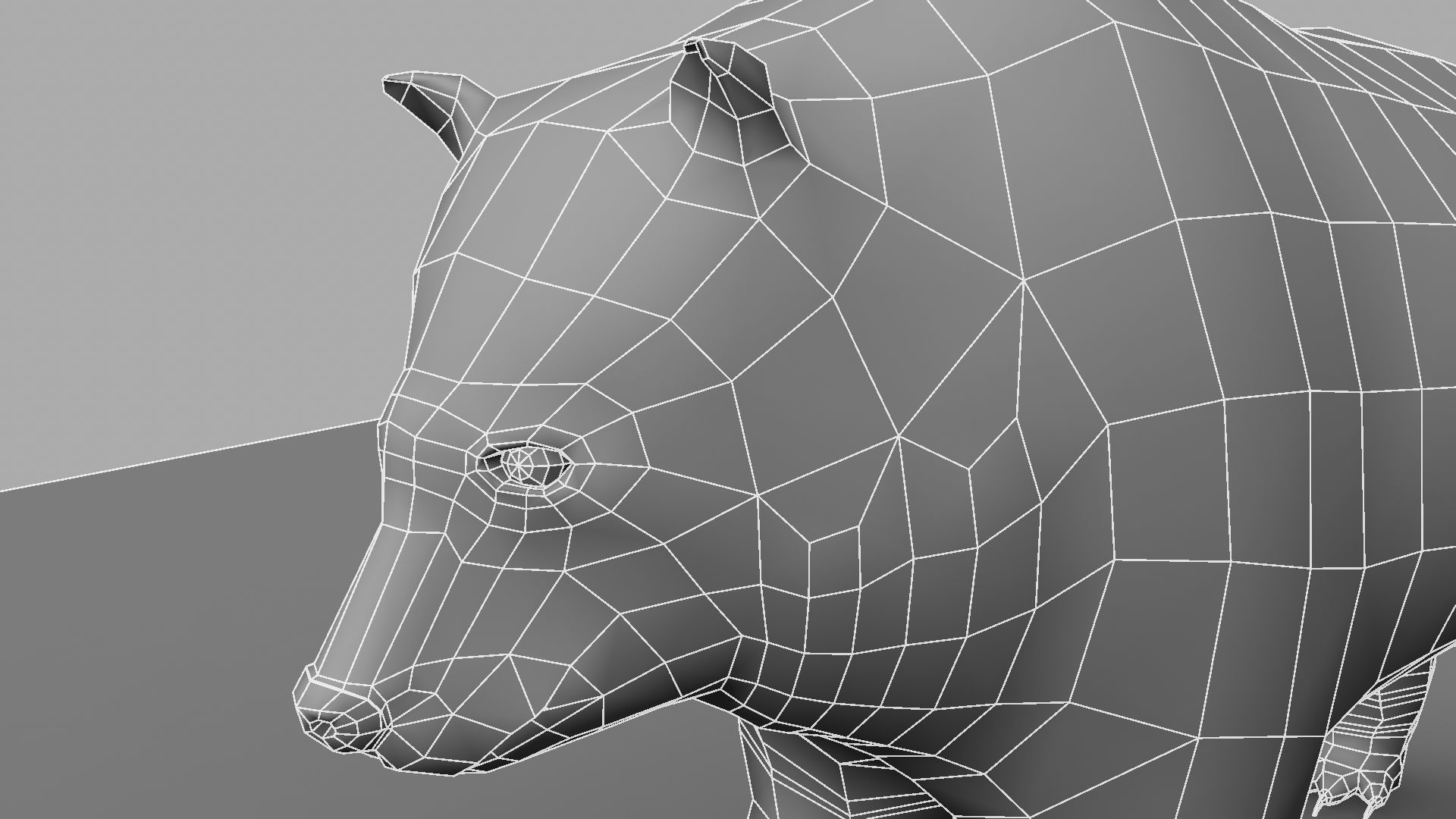 3D Bear polar 3D model_26