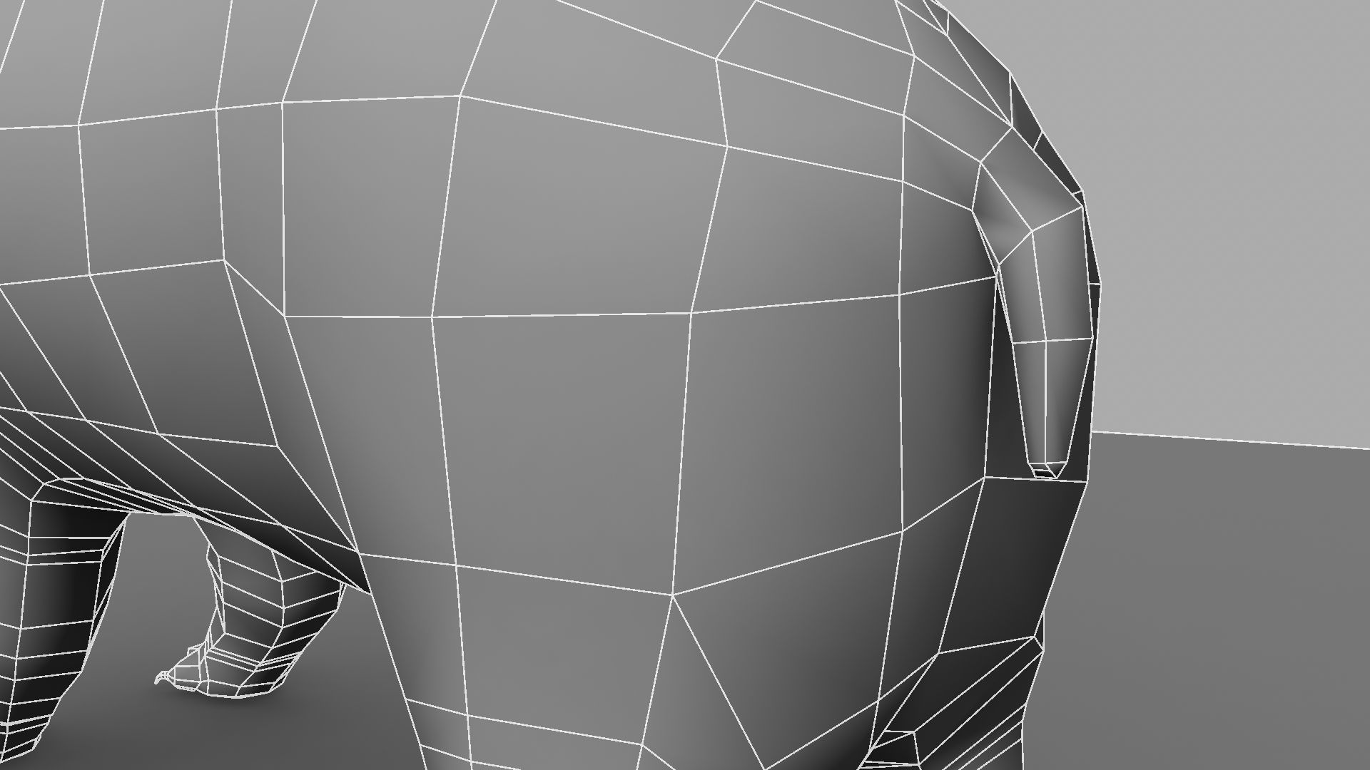 3D Bear polar 3D model_23