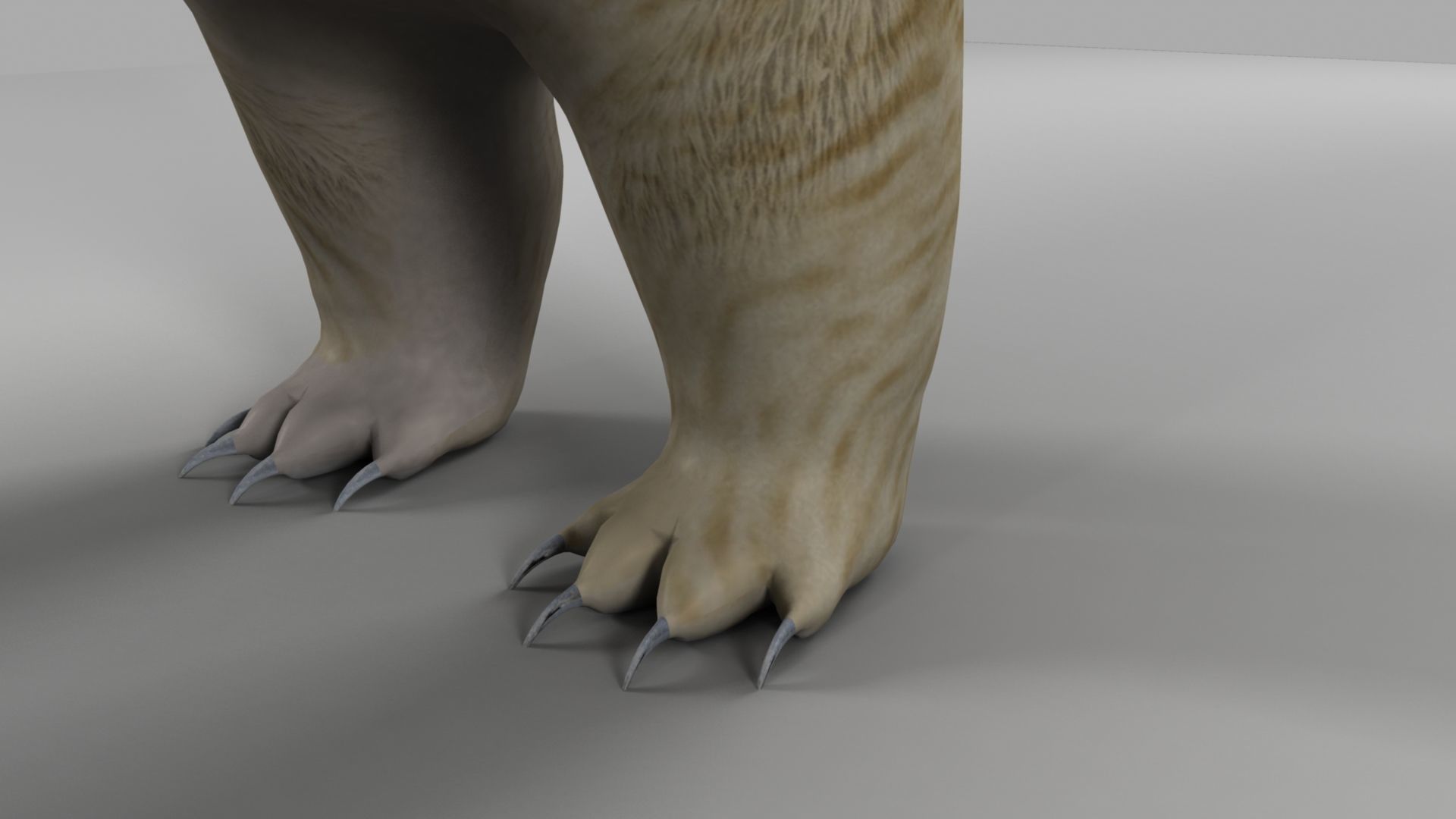 3D Bear polar 3D model_14