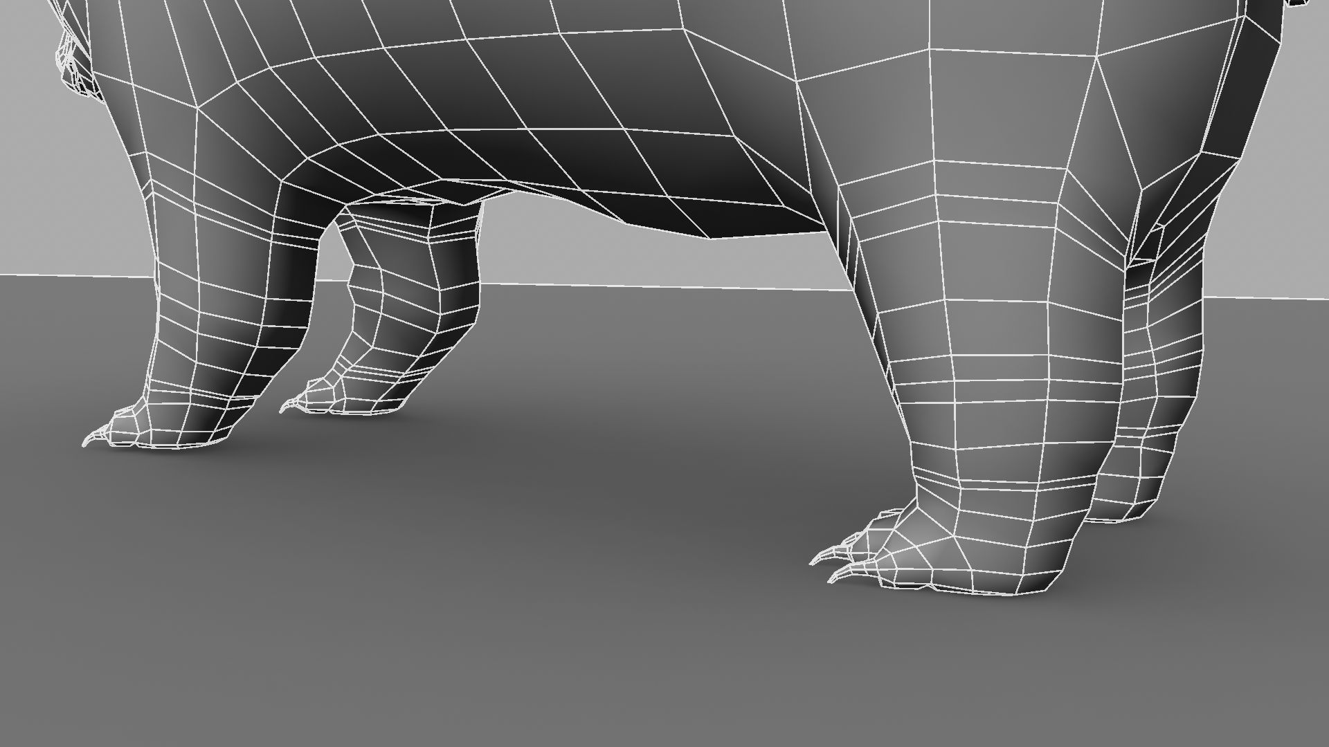 3D Bear polar 3D model_17